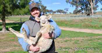 From Facebook to feedlot: how one producer scored a $10k agtech bargain
