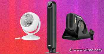The 15 Best Fans to Buy Before It Gets Hot Again (2026)