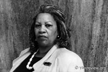 Toni Morrison believed that racial blackness and whiteness and redness — potent though they may be — are just that: stories 