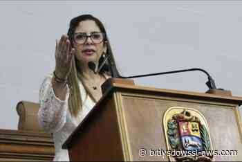 Nora Bracho exige consulta nacional sobre la Ley del Sector Eléctrico
