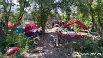 Winnipeg reports fewer encampments amid enforcement, but advocates say numbers don't tell whole story