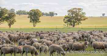 Data revision uncovers the true pressure on sheep processors