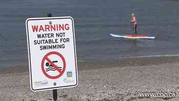 Vancouver's Sunset Beach remains closed to swimming as high E. coli levels persist