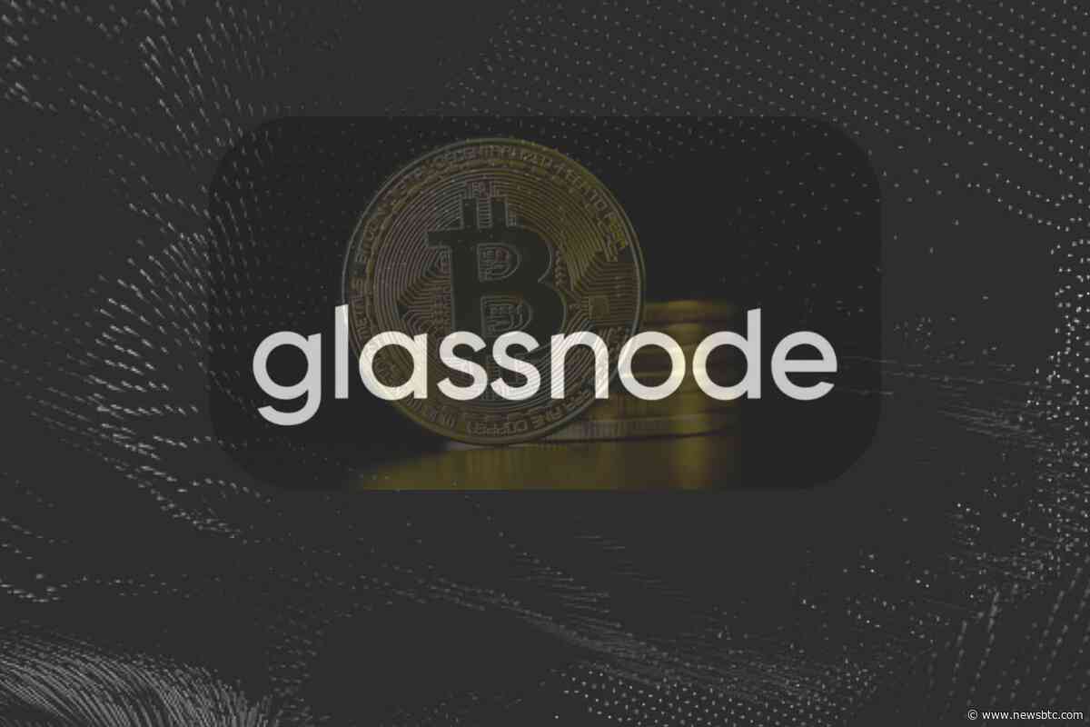 Bitcoin Stabilizes Near Key Zone, But Glassnode Warns Capital Flows Remain Weak
