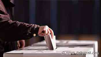 Who would you back in the Makerfield by-election if you had a vote?