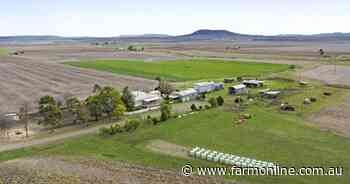 Glencoe a productive 260 acre farm with 84 meg irrigation licence | Video