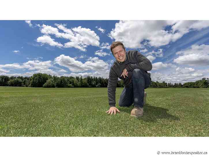 World class grass grown in Burford for FIFA World Cup