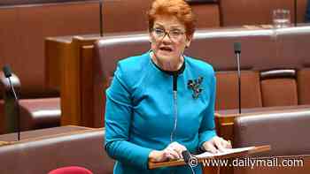 Pauline Hanson reveals the migrants that she'd let stay in Australia under her plan to slash immigration by 76 per cent if elected Prime Minister