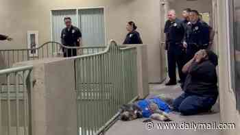 Woman's adorable dog shot dead when cops probe noise complaint of her screaming over Knicks win