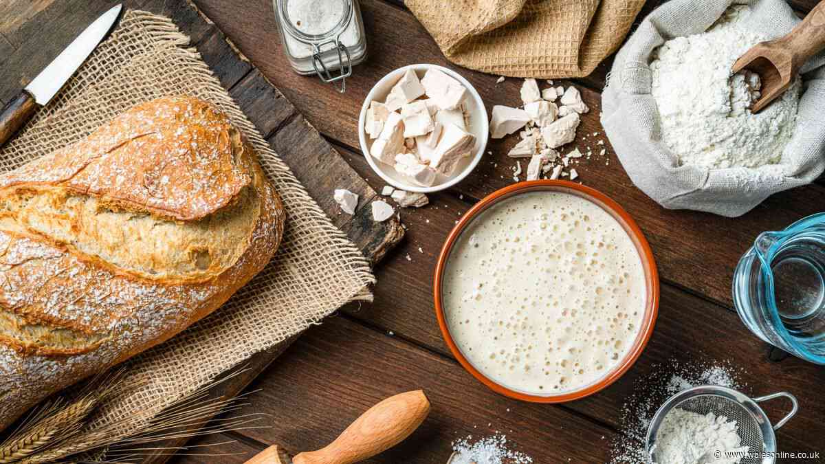 Difference between active yeast and instant yeast explained