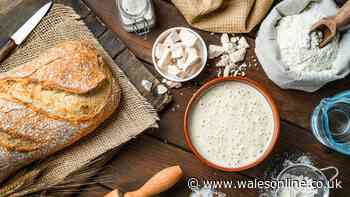 Difference between active yeast and instant yeast explained