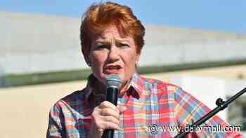 Pauline Hanson slams the Australian Defence Force after soldiers were pictured making Aboriginal spears