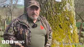 Remote volunteers use CCTV to save red squirrels