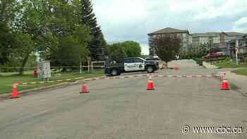 Police air support unit too costly for Prince Albert