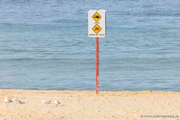 Zwischen Angst und Artenschutz: Australiens Hai-Dilemma