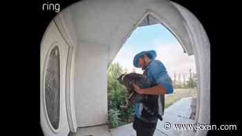 Driver accused of stealing cat during Amazon delivery claims ownership of pet