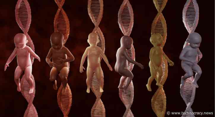 Latest Gene Editing Of Human Embryos Could “Open The Floodgates”