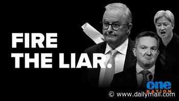 Pauline Hanson releases her 'Fire the Liar' TV ad featuring a scorched earth takedown of Anthony Albanese