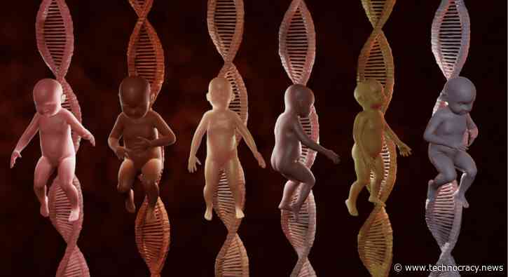 Latest Gene Editing Of Human Embryos Could “Open The Floodgates”