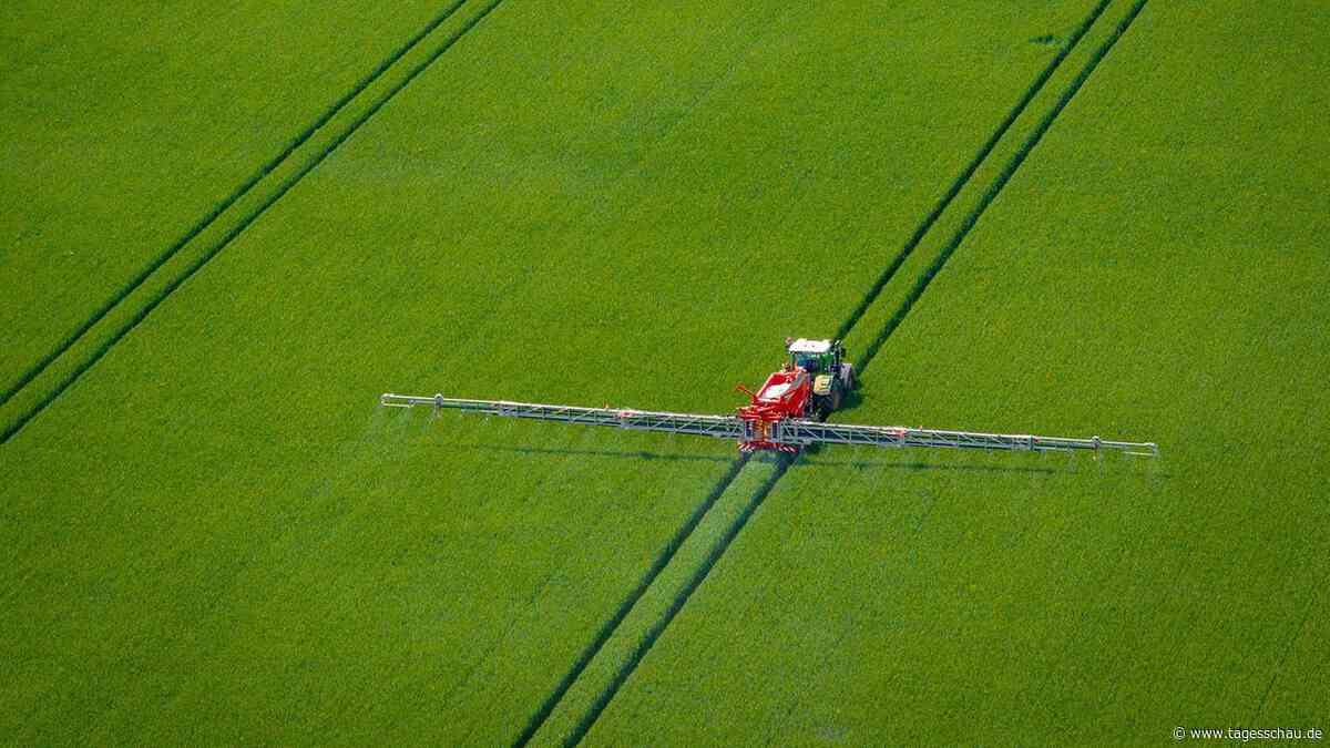 Bundesverfassungsgericht verhandelt zu Abschaffung der Stoffstrombilanzverordnung