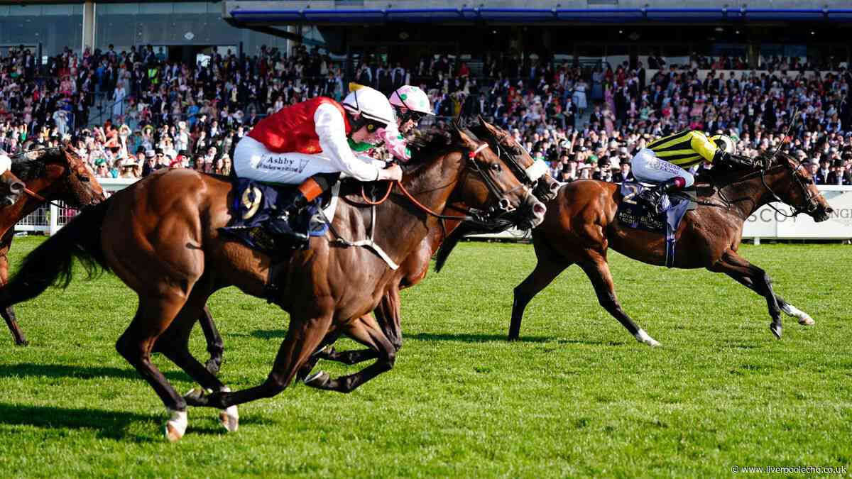Royal Ascot forbids anyone attending from wearing 1 common item of clothing