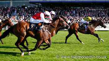 Royal Ascot forbids anyone attending from wearing 1 common item of clothing