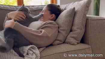 Face it, your cat doesn't care about you: Cuddling your pet when you're stressed makes you feel even WORSE, study finds