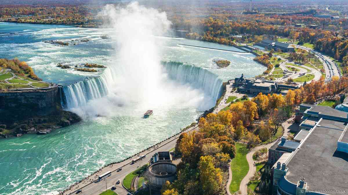 'Literally crazy' - Brit who moved to Canada shocked by the price of 1 thing