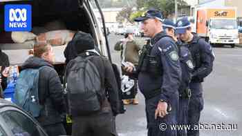 NSW Police review officer pushing protester at pro-Palestine picket