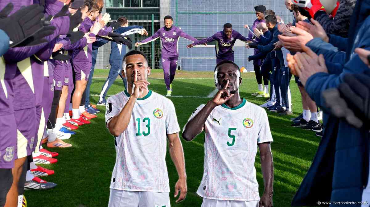 Question marks over Everton pair Idrissa Gueye and Iliman Ndiaye before Senegal World Cup opener