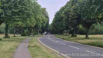 Ladies Mile traffic plans divide opinion as calls to 'slow people down' grow