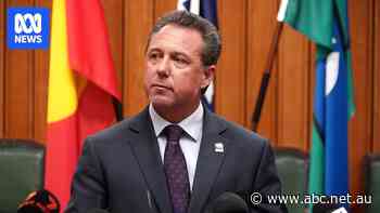 Townsville Mayor Nick Dametto breaks silence on assault investigation