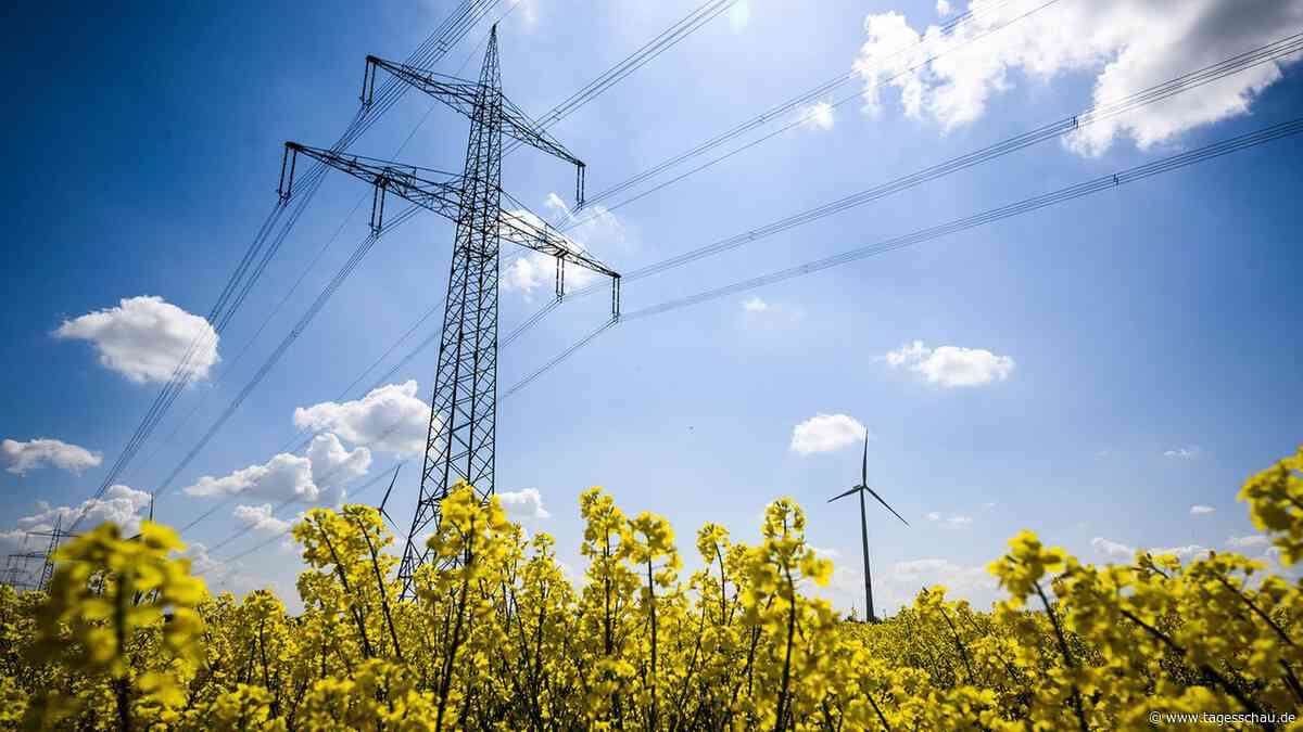 Analyse der Stromnetzbetreiber - Rekordrenditen und massive Kritik