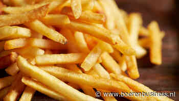 Kan 'WK-effect' afzet van frites laten scoren?