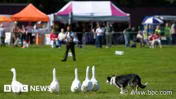 All you need to know about Royal Cheshire Show