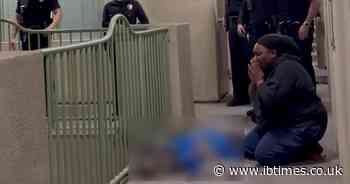 LAPD Under Fire After Fatal Shooting of Dog Jameson as Owner Marie Marseille Denies He 'Charged' Officers