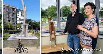 Ophef om tien meter hoog kunstwerk voor flat in Nijmegen: ‘Wie haalt dit in zijn hoofd op deze plek?’