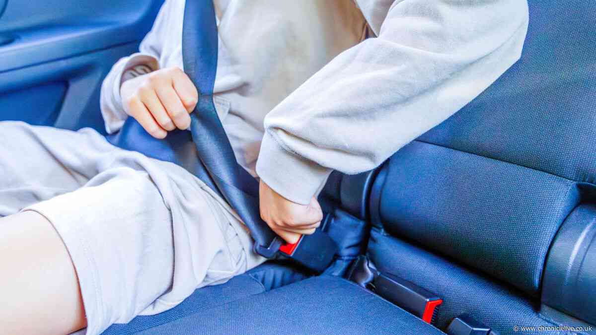 Full list of people legally exempt from wearing a seat belt