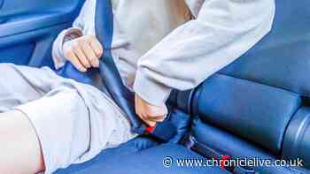 Full list of people legally exempt from wearing a seat belt