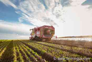 Scottish veg grower secures £10m expansion boost