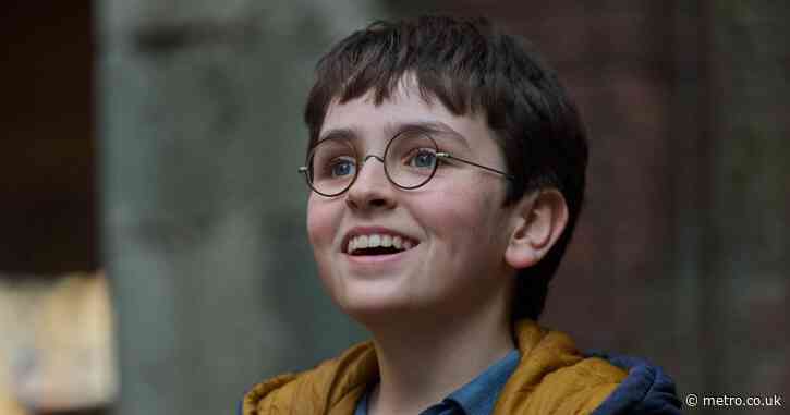 Harry Potter fans go wild after TV show casts major character cut from movies
