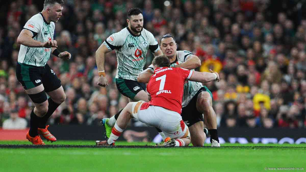 James Lowe exit row sparks 'cry baby' accusations from Ireland legend