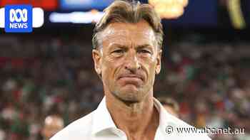 Tunisia names new World Cup coach after sudden axing