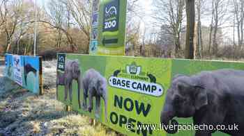 Family attraction outside Liverpool announce birth of animals on brink of extinction