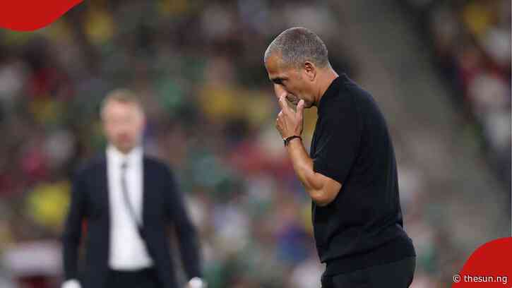 Tunisia sacks coach after 5–1 Sweden World Cup brutal group stage loss