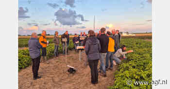 Zes demoveldbijeenkomsten tonen aardappelrassen in biologische en PlanetProof-teelt