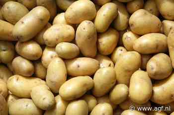 PotatoNL noteert alleen voor verse frites
