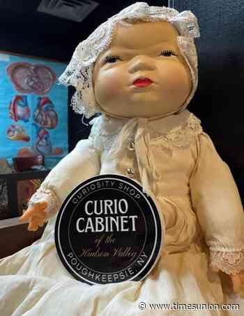Where’s Agnes? Poughkeepsie oddities shop accidentally sells mascot doll.