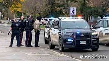 Charges stayed against Brandon officer accused of assault, dangerous driving after man hit by cruiser
