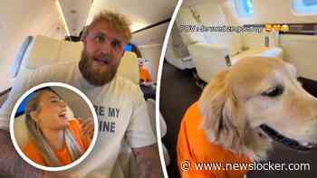 Jutta Leerdam laat Jake Paul het Wilhelmus zingen